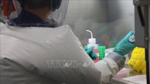 Một nhà khoa học đang thử nghiệm vaccine phòng COVID-19 tại phòng thí nghiệm ở Geelong, Australia, ngày 2/4/2020. Ảnh: THX/TTXVN